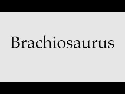 How to Pronounce Brachiosaurus