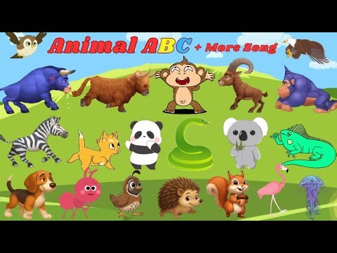 Animal ABC 8TH11 | ABC Safari Animal Sounds + More Song | Kids TV
