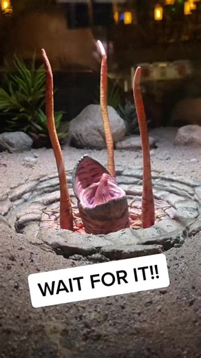 The mini sarlac is about to get Boba Fett!! #legostarwars #bobafett #legobobafett #sarlacpit | The Brick Show Shop