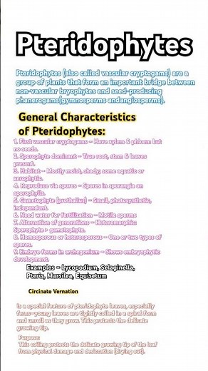 Pteridophytes general characteristics