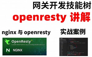 网关开发 openresty 实战案例讲解（原理、应用、与nginx关系）LinuxC++