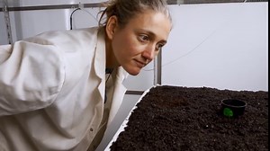 Aware: Glimpses of Consciousness (2021)