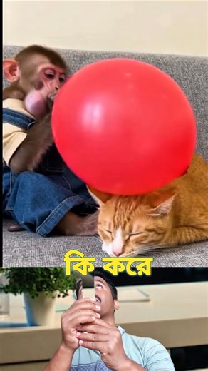 কি করে 🤣🤣 ki kore 😍 New funny video #shorts #funny