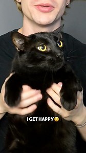 A harsh realization🙂‍↕️ #cat #relatable #sarcasm #sad #catsoffacebook | Leon.TCD