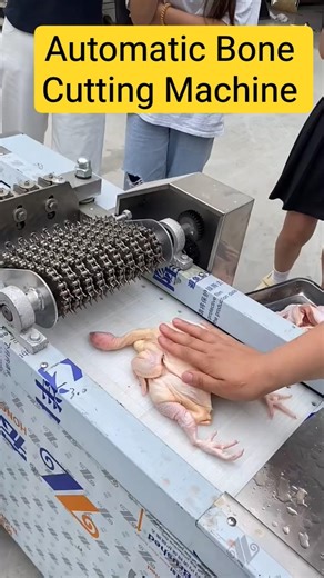 Automatic Bone Cutting Machine in Action ⚙️🔥 | Powerful #BoneCutter #MeatProcessing #FoodMachinery