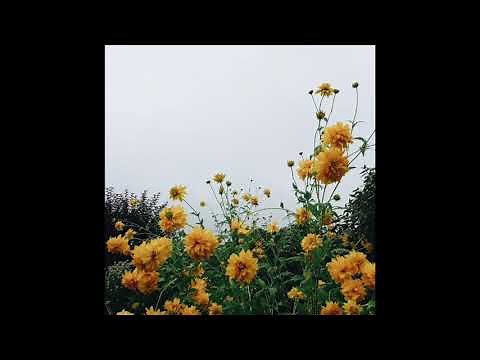 Upbeat K-Pop Instrumental Playlist 1