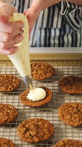 🎁 It’s the most wonderful time of the year—our 12 Days of Holiday Cookies starts tomorrow! 🎁 From December 1 through December 12, we’ll share brand-new festive cookie recipes designed to dazzle your holiday gatherings. Each recipe is a celebration of the season, filled with all the sweetness and joy your oven can bake up. But that’s not all! Every day, you’ll also have a chance to win an incredible holiday prize pack, featuring must-have baking books, Bake from Scratch store favorites, and goo