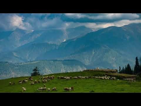 1 hour of waltz of the flowers - Tchaikovsky