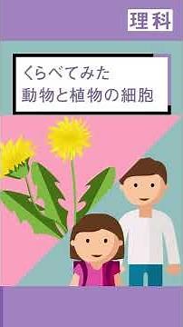 【中2 理科】植物と動物の細胞をくらべよう