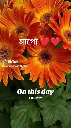 Ayasha (@ayasha0602)’s videos with original sound - Ayasha