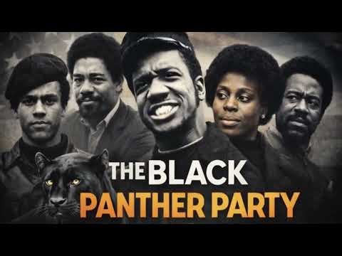 The Black Panther Party: A Story They Never Taught You