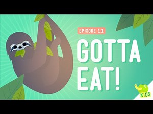 Why do we Need Food? Video Lecture | Science for Class 6