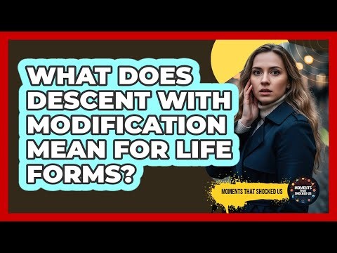 What Does Descent With Modification Mean For Life Forms?