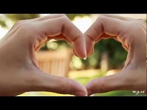 John Mayer - The Heart Of Life [Lyrics]