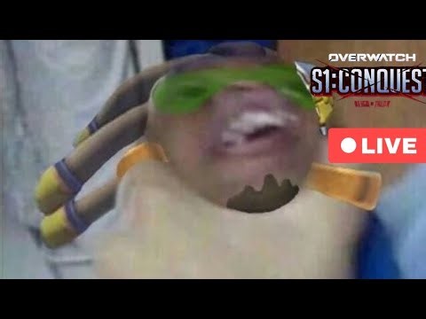 PLATINUM Journey (Day 16) Overwatch