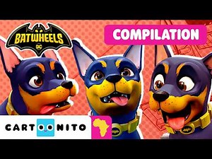 🐕 TOP 7 🐕 Best Pets Moments | Batwheels | Cartoon For Kids| Cartoonito Africa