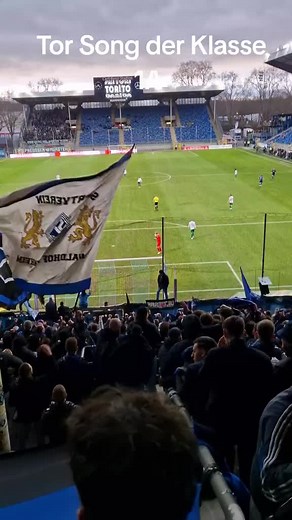 #waldhofmannheim #waldhofunddiesge #btsvw #wormatiaworms #fcbasel