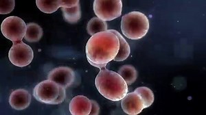 Cleverman Tráiler VO