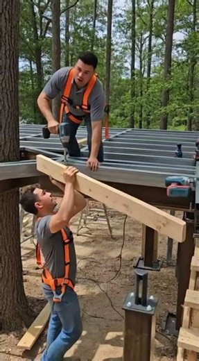 From Backyard Tree to Modern Glass Mansion | Full Construction Transformations