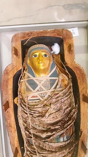 ✨ What secrets lie beneath the golden face of this ancient Egyptian mummy? ✨ This beautifully preserved mummy features a stunning gilded mask, a hallmark of the Late Period and Ptolemaic Egypt. The bright golden face symbolized purity and divinity, linking the deceased to the sun god Ra for an eternal, radiant afterlife. Beneath the intricate linen wrappings lies a richly painted cartonnage, decorated with protective deities and sacred symbols from the Book of the Dead — all crafted to guide the