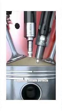 Colores de los O-ring (qué indican)