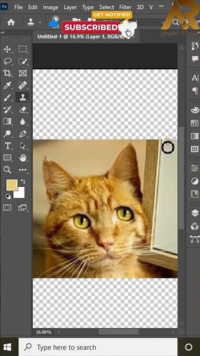 Photoshop Tricks & Tips: Master Editing Like a Pro! 🎨🔥