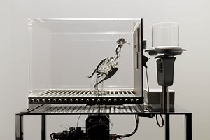 The Machine Zone · Mat Collishaw