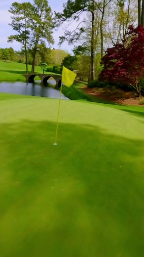 The Masters on TikTok