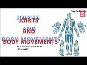 Joints and their types | CBSE Class VI Science Lesson