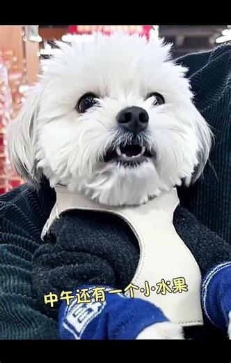 Grandma's Secret to AI Mastery: Unleash Your Creativity