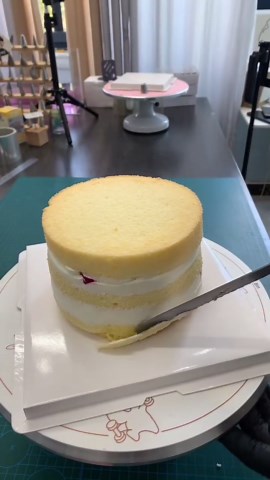 Cute Puppy Cake Decorating Tutorial