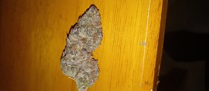 Gelato Cake | Marijuana Strain Reviews