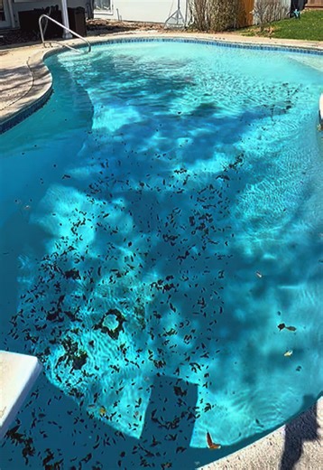 Another week in the books! Cassoday Pool Service wishing you all a great weekend. #PoolCleaning #TexasPools #houstontx #CassodayClean