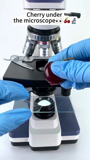 Cherry look cool at 400x magnification! #microscope