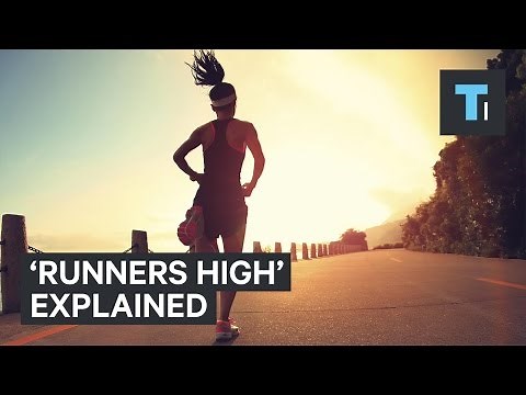 What happens to your brain when you get a "runner's high"