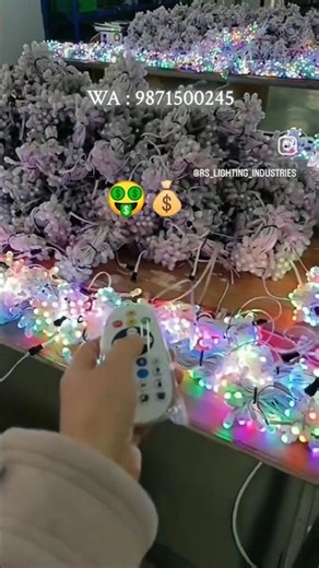 Best Diwali Light under ₹100 in Delhi #diwalilights #decoration #light #led #rgblighting #viral #fyp