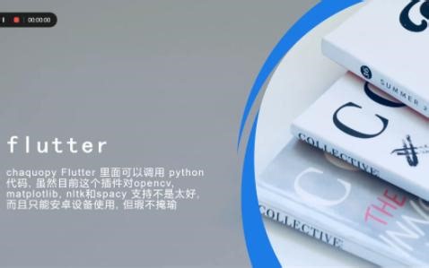 flutter chaquopy的使用