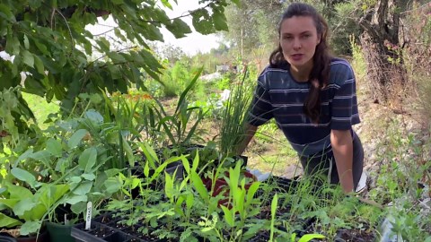 Planting future forests & finding sanity in ice baths