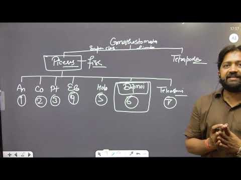 M.Sc. 2nd sem Paper-1st Dipnoi