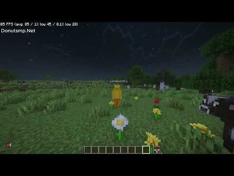 How to Build a Compact Auto-Regear Machine | DonutSMP