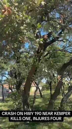 Texas crash kills a 51-year-old woman, injures four others including two teens