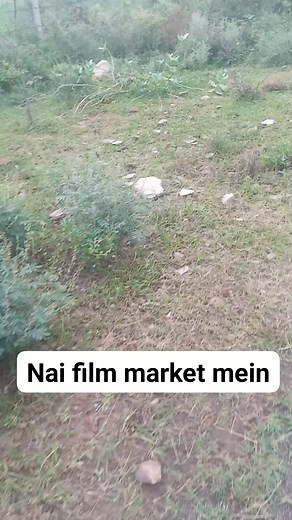 Nai film market mein HD | Rajasthani video