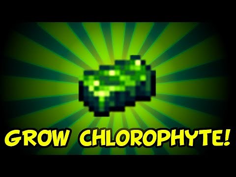 Terraria 1.4 How to Farm Chlorophyte [XBox, PS4, Switch, PC, Mobile]
