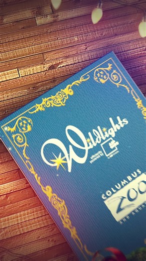 Experience the Magic of Wildlights Holiday Event