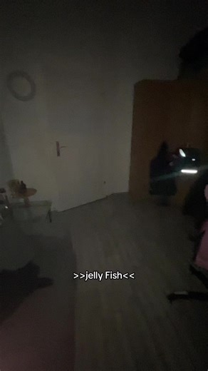 Exploring the Fascinating World of Jellyfish