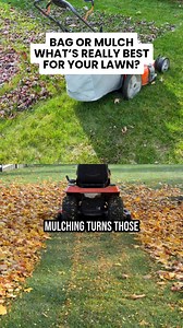 Bag or mulch—what’s really best for your lawn? #Lawn #LawnCare #Landscaping #WilmingtonNC #LelandNC #HampsteadNC | Vinedresser Lawn and Landscape