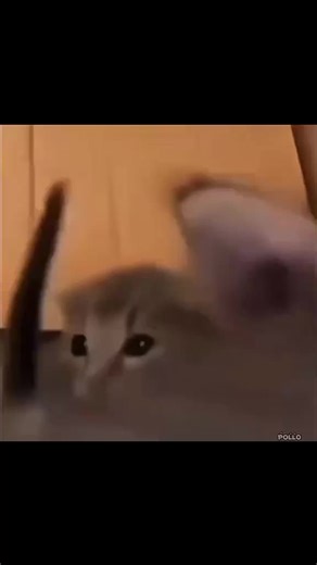 Nuevo año, nueva yo: memes divertidos