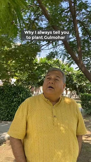 Peepal Baba talks about the benefits of planting Gulmohar | Give Me Trees Trust
