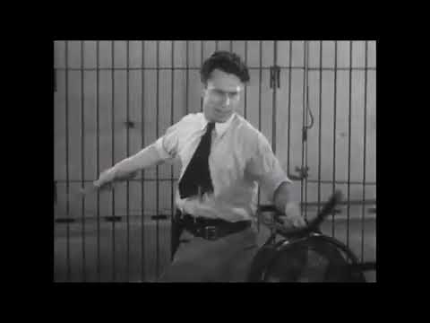 Tiger vs Lion - Tigress vs Male Lion Fight.