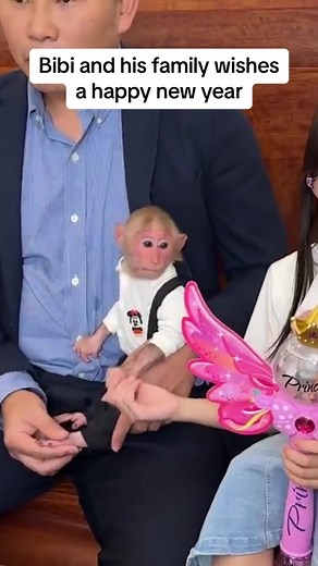 Bibi the Monkey Wishes You a Happy New Year 2024!